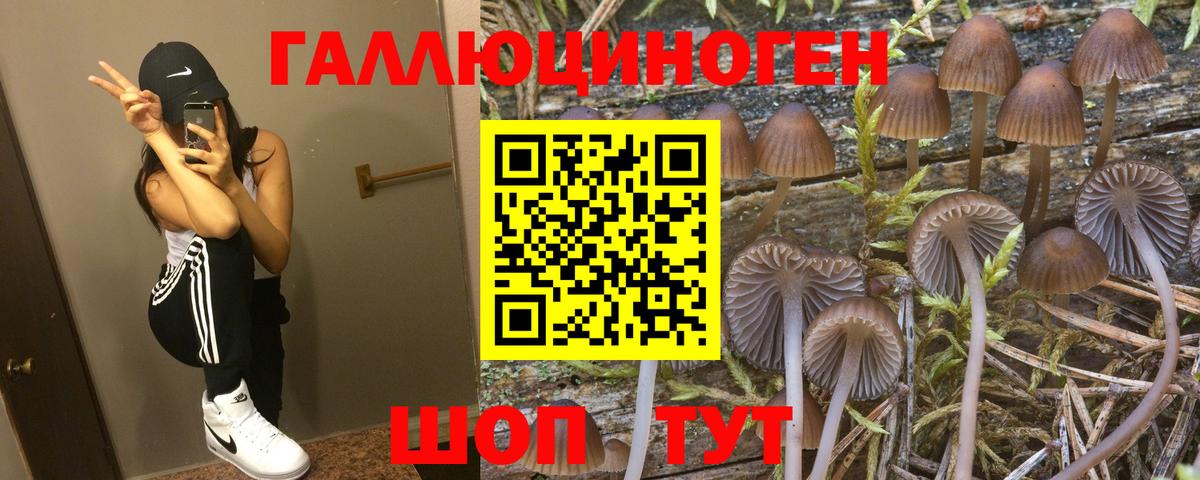 Галлюциногенные грибы прущие грибы  Вход с VPN  Псилоцибиновые грибы Psilocybe  Югорск 