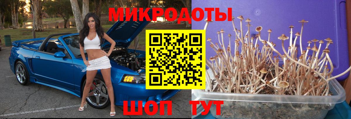 Псилоцибиновые грибы прущие грибы Югорск